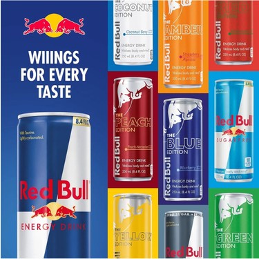 REDBULL ÇEŞİTLERİ 255 ML